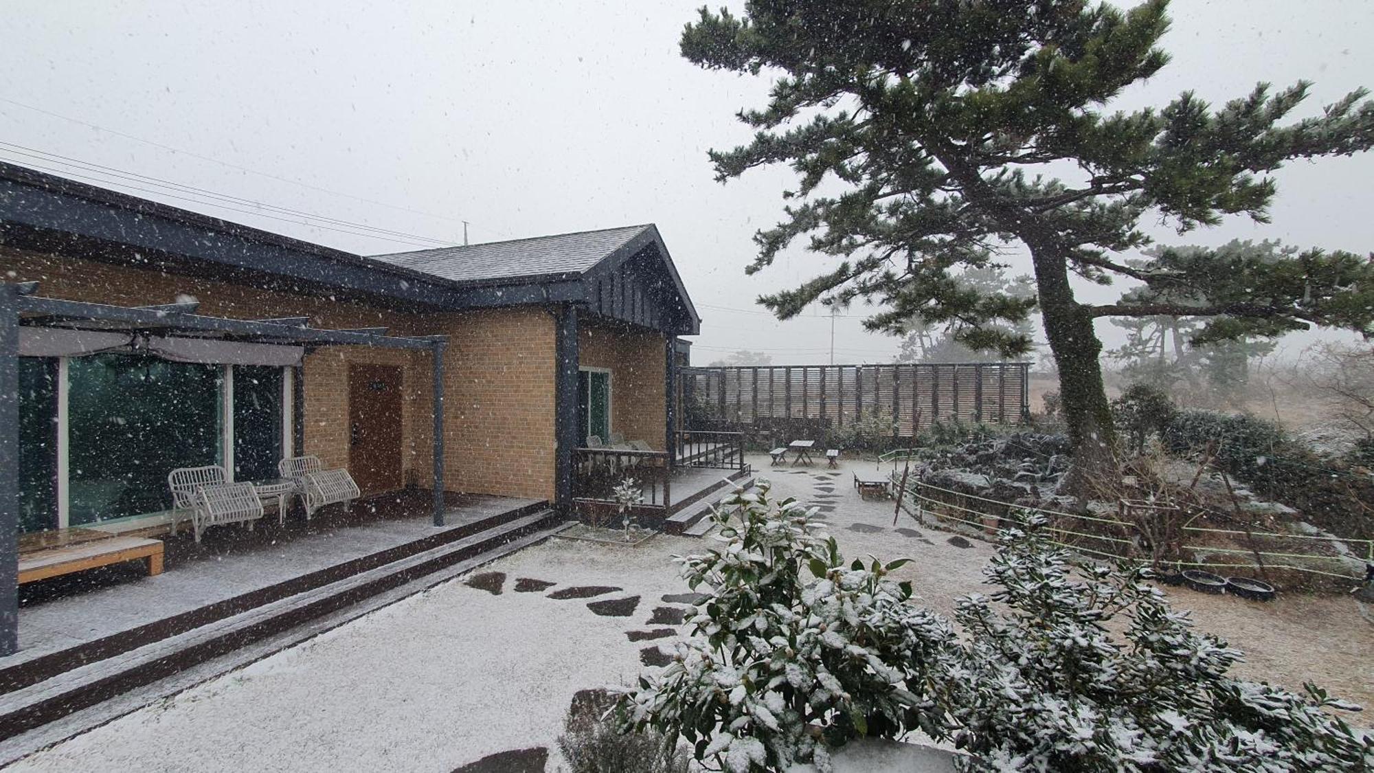 Wind Jeju Cafe & Pension Seogwipo Zewnętrze zdjęcie