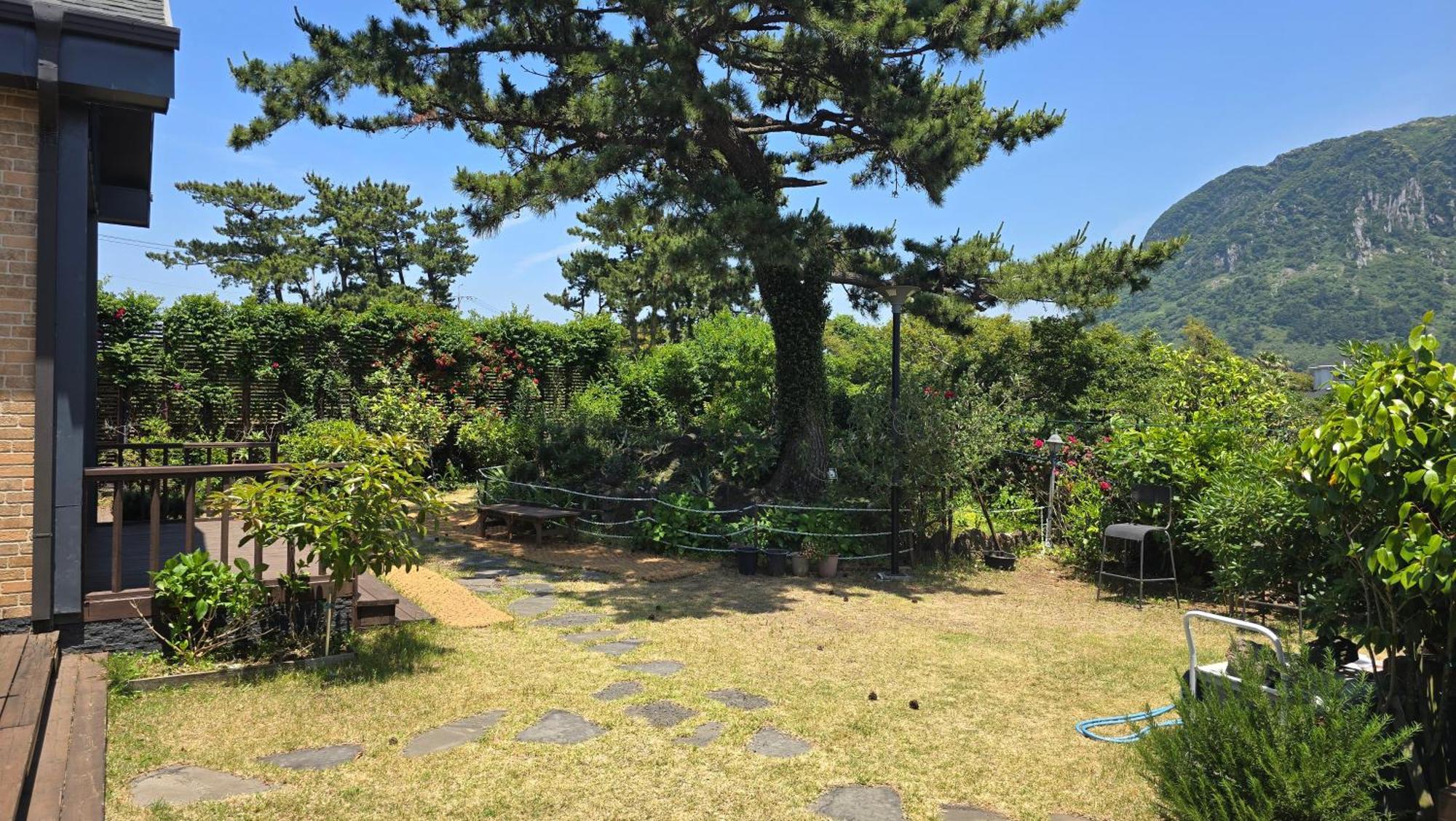Wind Jeju Cafe & Pension Seogwipo Zewnętrze zdjęcie