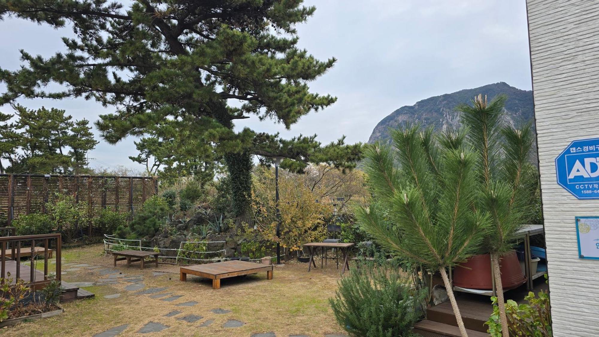 Wind Jeju Cafe & Pension Seogwipo Zewnętrze zdjęcie