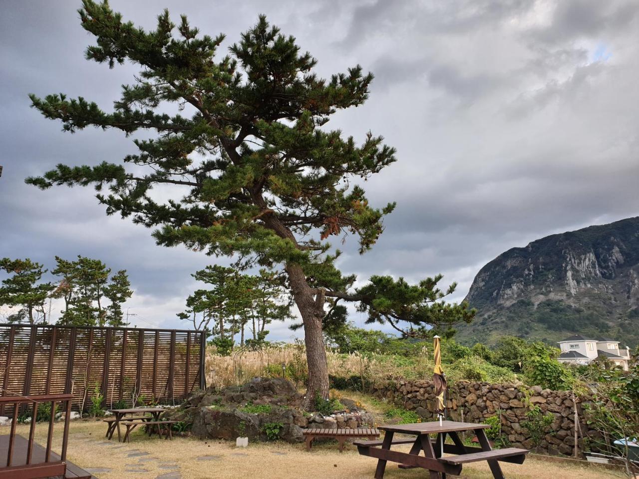 Wind Jeju Cafe & Pension Seogwipo Zewnętrze zdjęcie