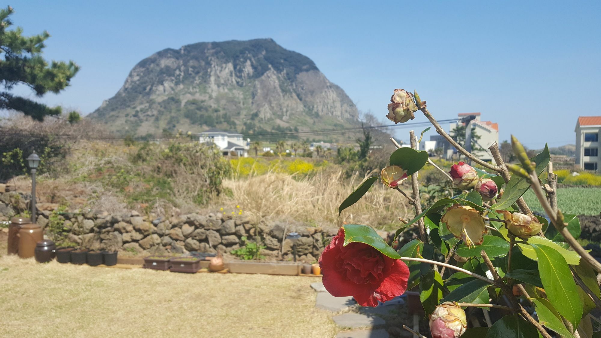 Wind Jeju Cafe & Pension Seogwipo Zewnętrze zdjęcie