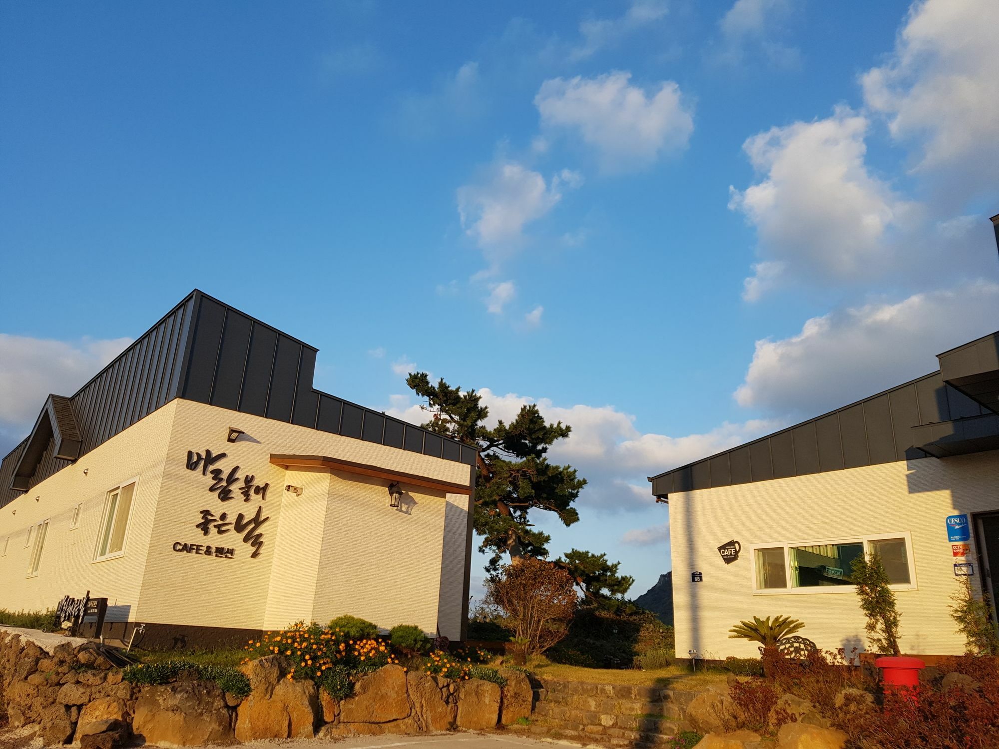 Wind Jeju Cafe & Pension Seogwipo Zewnętrze zdjęcie